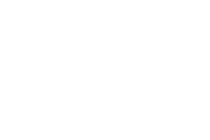 Cliente Ingram Micro Logo